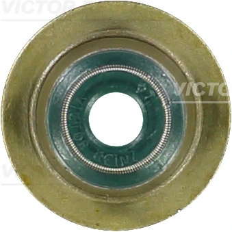 Seal Ring, valve stem